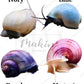 ♡ Mystery Snails - Purple, Magenta, Ivory & Blue ♡