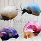 ♡ Mystery Snails - Purple, Magenta, Ivory & Blue ♡